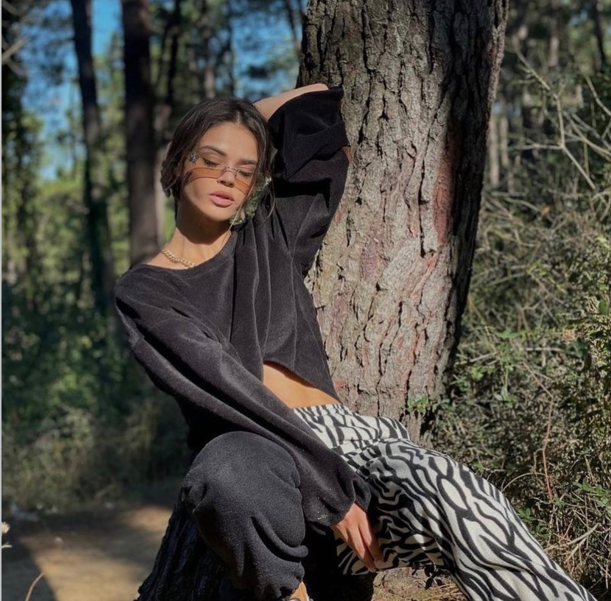Zebra Siyah takım